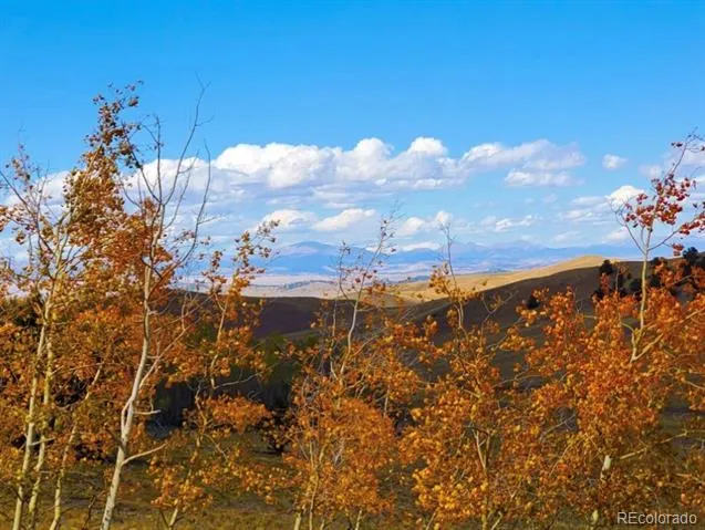 2000 Hard Hickory Trail Guffey, CO 80820