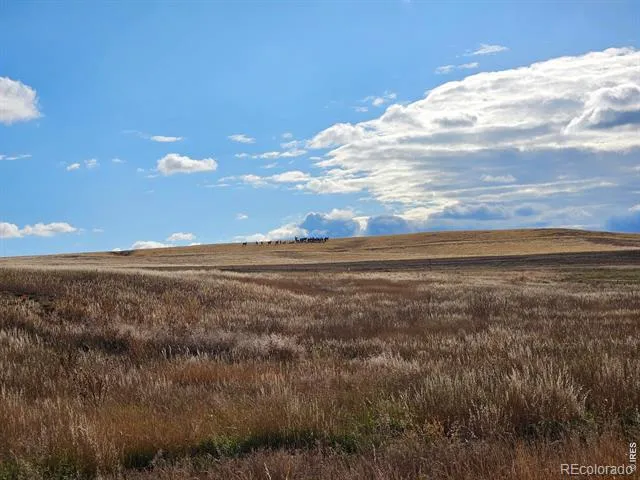0 Cadence Court Berthoud, CO 80513
