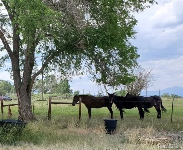 8650 US Highway 285 Salida, CO 81201