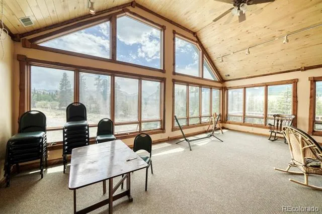 1499 County Road 24 Twin Lakes, CO 81251
