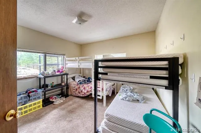 1499 County Road 24 Twin Lakes, CO 81251