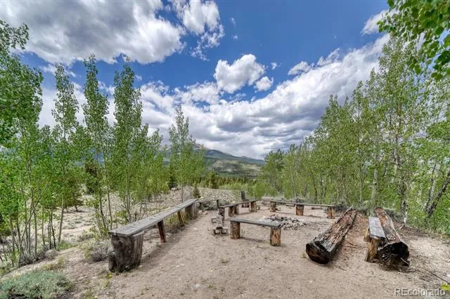 1499 County Road 24 Twin Lakes, CO 81251