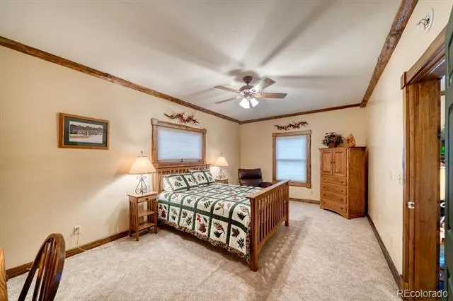 1499 County Road 24 Twin Lakes, CO 81251