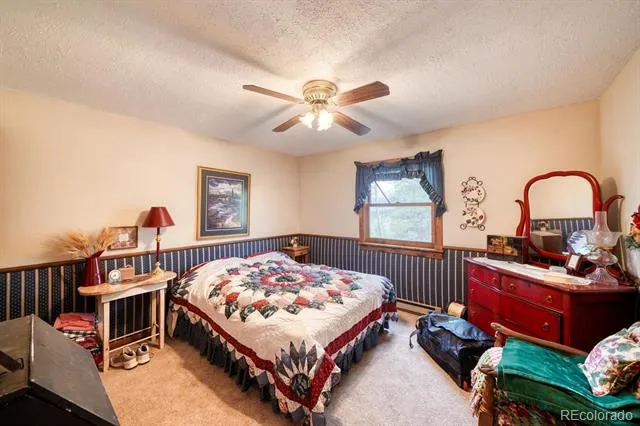1499 County Road 24 Twin Lakes, CO 81251