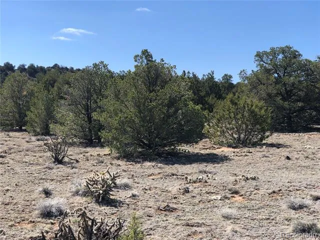 Lot 936 Rio Cucharas Phs #3 Walsenburg, CO 81089