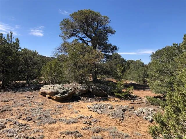 Lot 936 Rio Cucharas Phs #3 Walsenburg, CO 81089