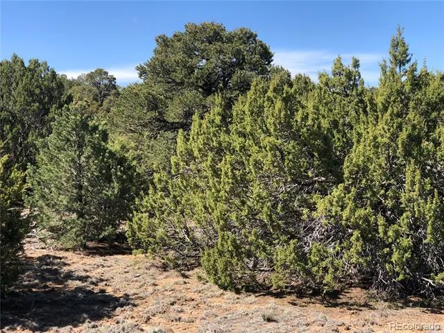 Lot 936 Rio Cucharas Phs #3 Walsenburg, CO 81089