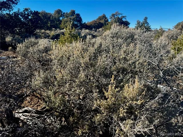 Lot 17 Largo Vista San Luis, CO 81152