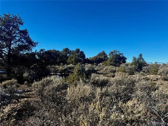 Lot 17 Largo Vista San Luis, CO 81152