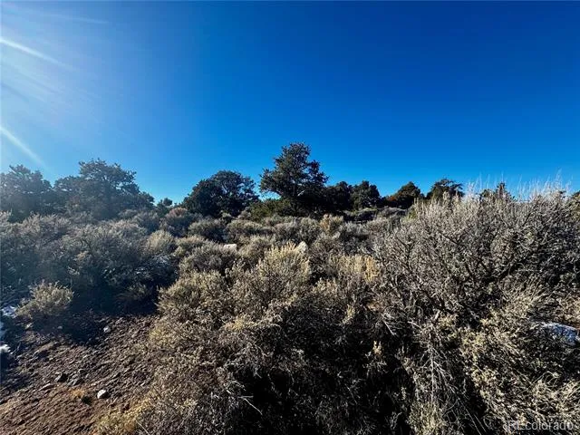 Lot 17 Largo Vista San Luis, CO 81152