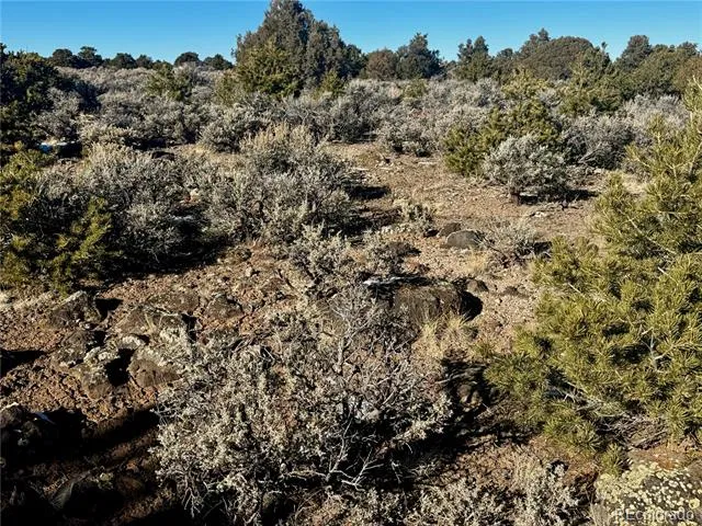 Lot 17 Largo Vista San Luis, CO 81152