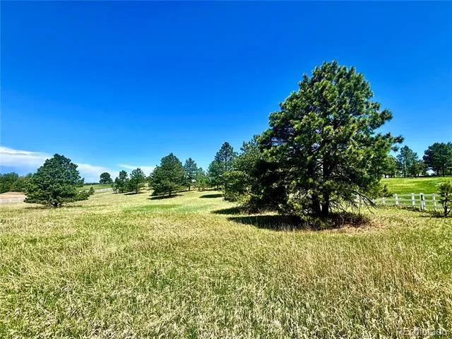 11455 Random Valley Circle Parker, CO 80134