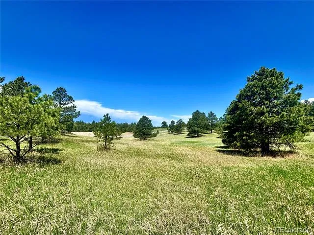 11455 Random Valley Circle Parker, CO 80134