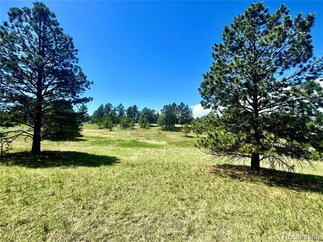 11455 Random Valley Circle Parker, CO 80134