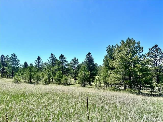 11455 Random Valley Circle Parker, CO 80134