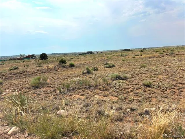 166 Wagon Wheel Road Crestone, CO 81131