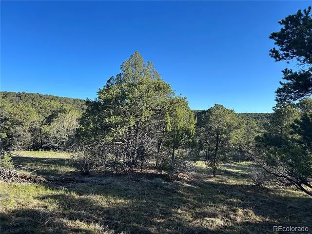 Lot 165 Silver Spurs Ranch Walsenburg, CO 81089