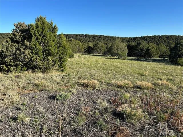 Lot 165 Silver Spurs Ranch Walsenburg, CO 81089