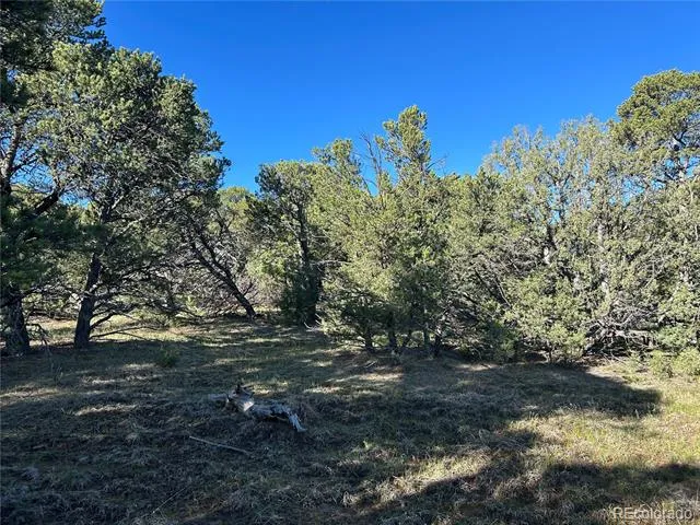 Lot 165 Silver Spurs Ranch Walsenburg, CO 81089