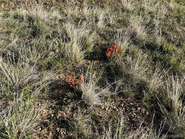 Lot 165 Silver Spurs Ranch Walsenburg, CO 81089