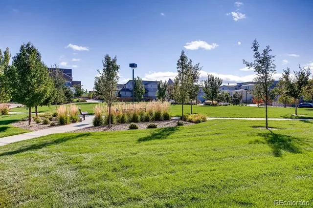 3435 Cranston Circle Highlands Ranch, CO 80126