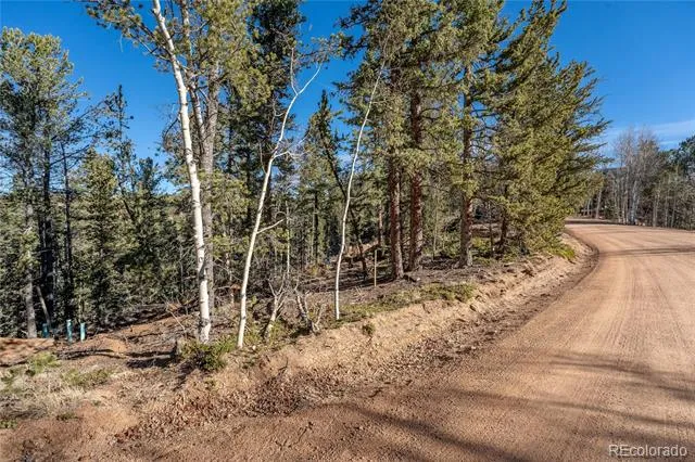 565 Fairview Drive Woodland Park, CO 80863