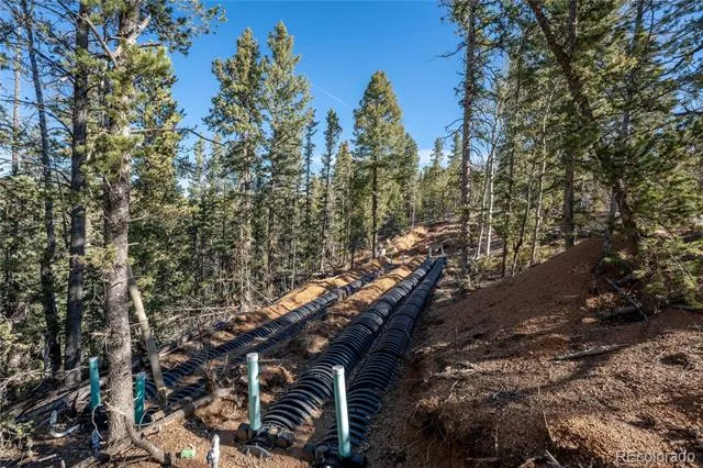 565 Fairview Drive Woodland Park, CO 80863