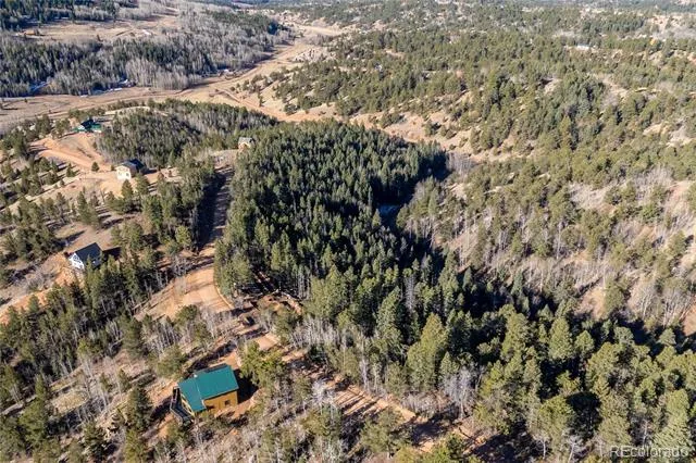 565 Fairview Drive Woodland Park, CO 80863