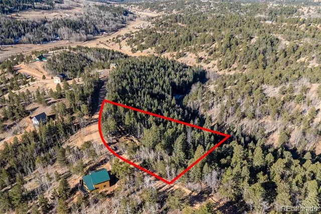 565 Fairview Drive Woodland Park, CO 80863