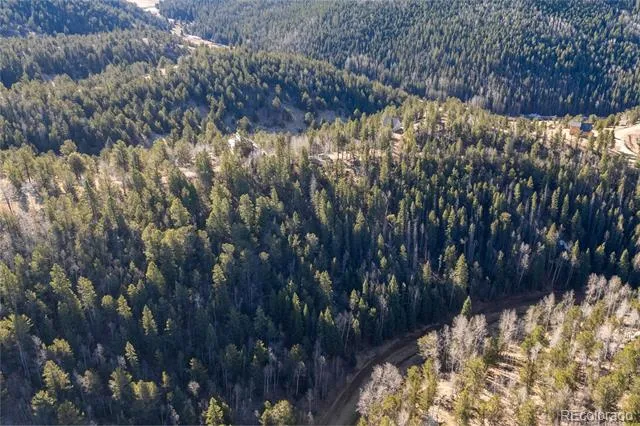 565 Fairview Drive Woodland Park, CO 80863