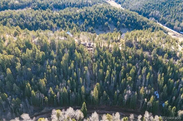 565 Fairview Drive Woodland Park, CO 80863