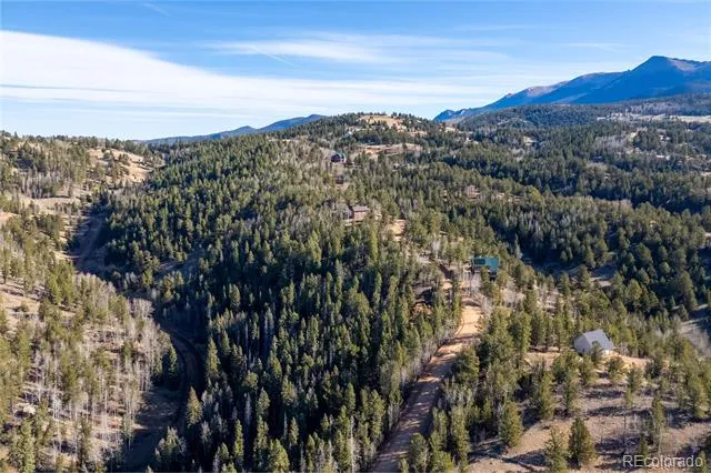 565 Fairview Drive Woodland Park, CO 80863