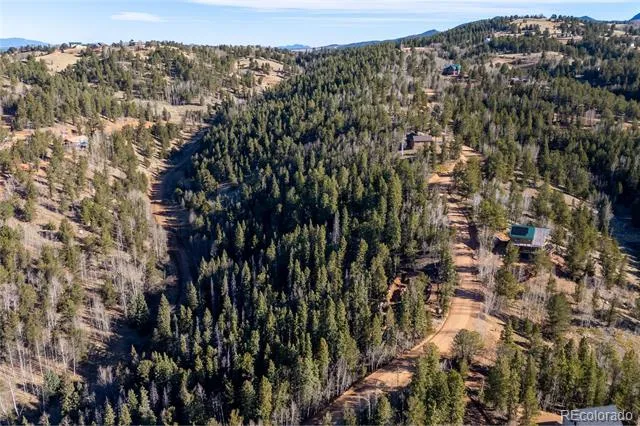 565 Fairview Drive Woodland Park, CO 80863