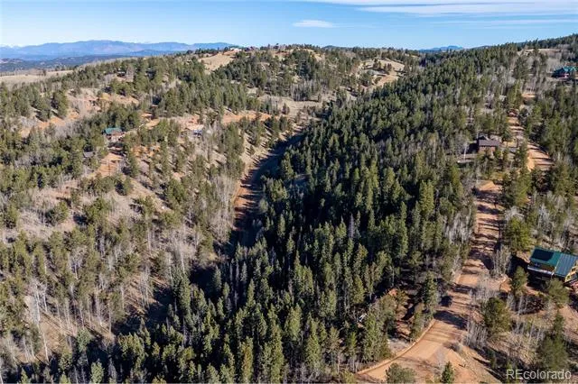 565 Fairview Drive Woodland Park, CO 80863