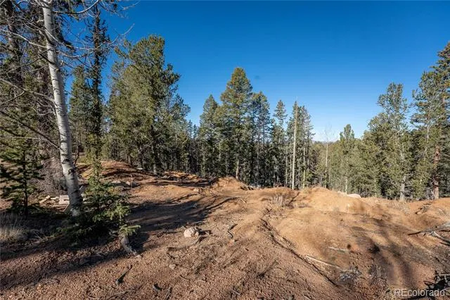 565 Fairview Drive Woodland Park, CO 80863