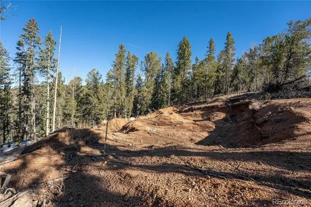 565 Fairview Drive Woodland Park, CO 80863