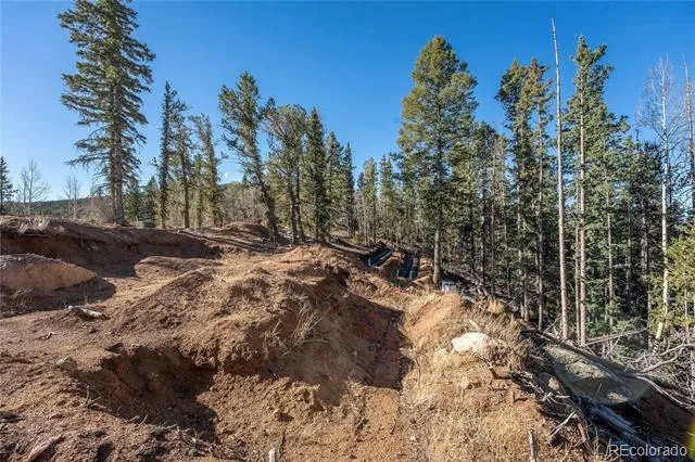 565 Fairview Drive Woodland Park, CO 80863