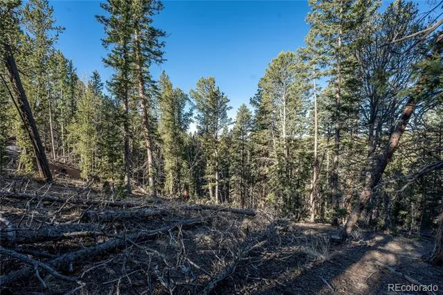 565 Fairview Drive Woodland Park, CO 80863