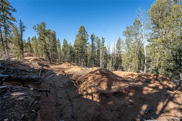 565 Fairview Drive Woodland Park, CO 80863