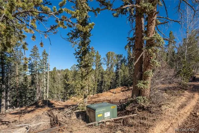 565 Fairview Drive Woodland Park, CO 80863