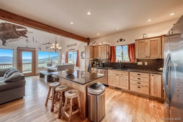 2977 High Creek Road Fairplay, CO 80440