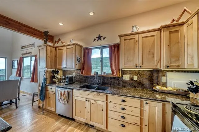 2977 High Creek Road Fairplay, CO 80440