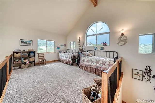 2977 High Creek Road Fairplay, CO 80440