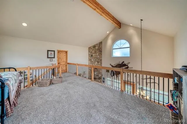 2977 High Creek Road Fairplay, CO 80440