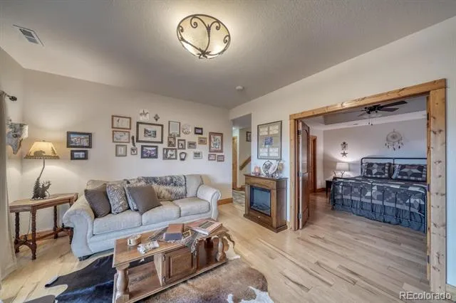 2977 High Creek Road Fairplay, CO 80440