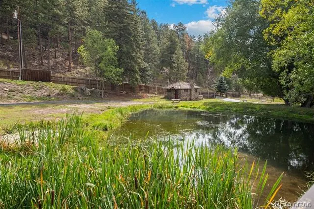 1733 Swede Gulch Road Evergreen, CO 80439