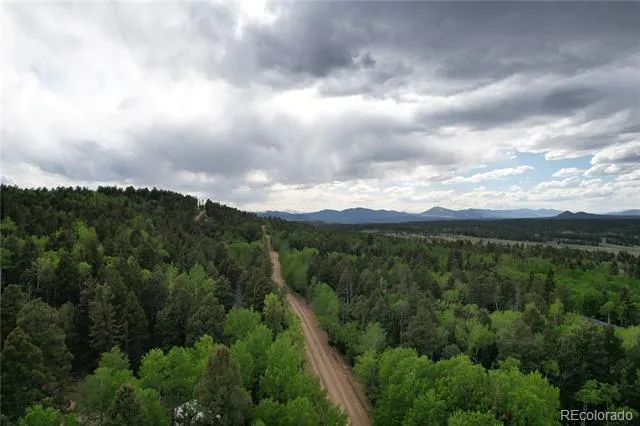 776 Jolly Rogue Drive Divide, CO 80814