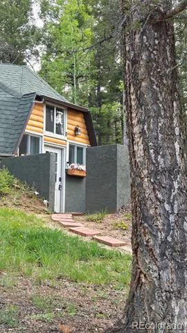 776 Jolly Rogue Drive Divide, CO 80814
