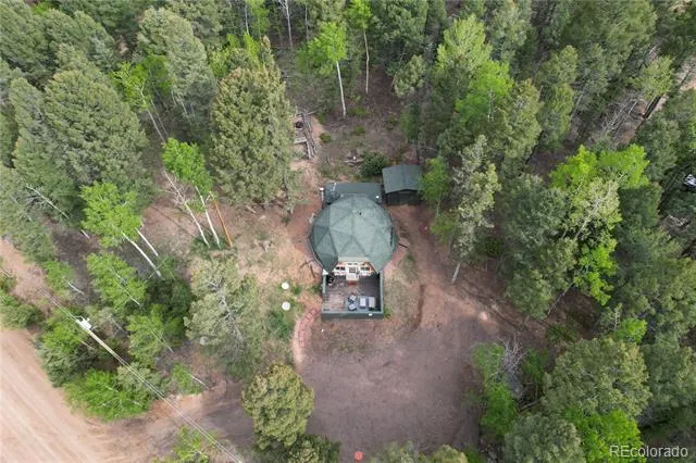 776 Jolly Rogue Drive Divide, CO 80814