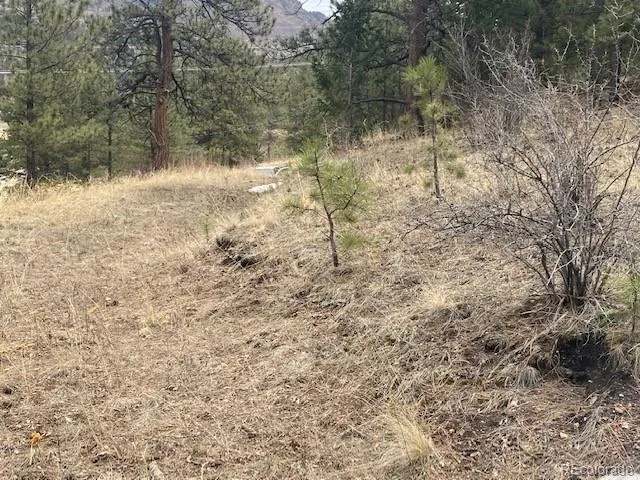 364 County Road 64 Shawnee, CO 80475